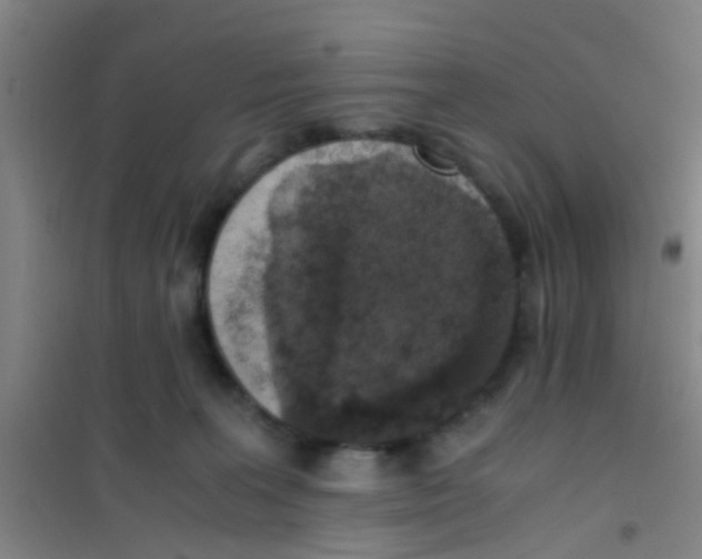 X0000100420227200807032109