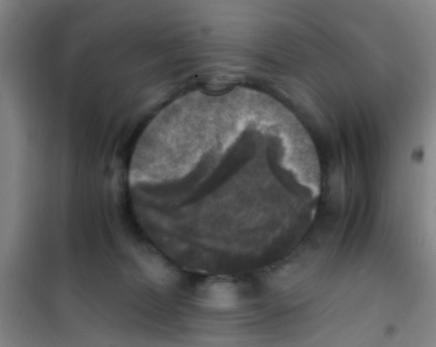 X0000100420228200807032109