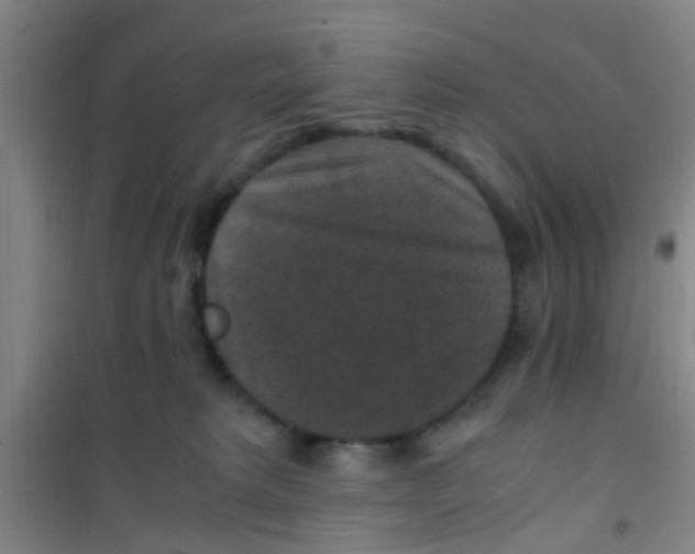 X0000100420229200807032109