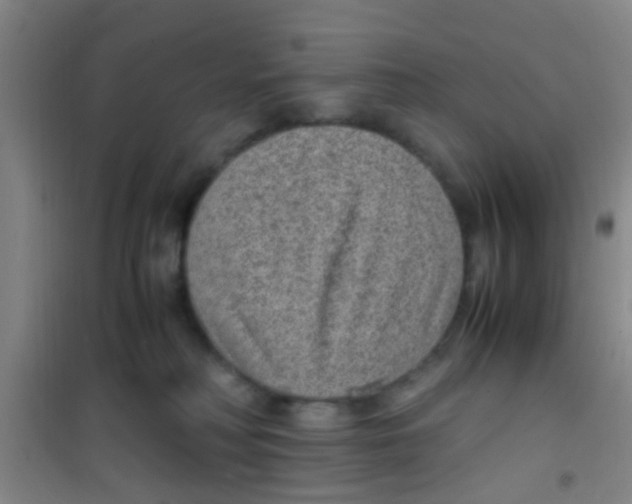 X0000100420230200807032109