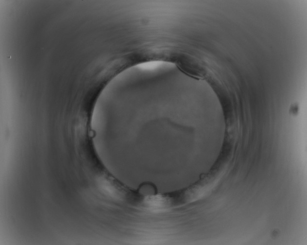 X0000100420231200807032109