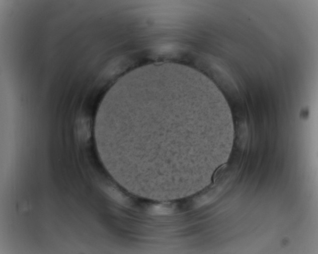 X0000100420232200807032109