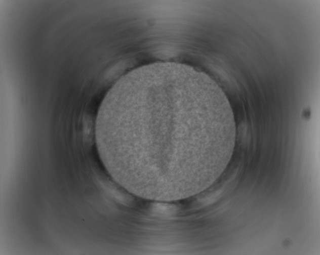 X0000100420234200807032109