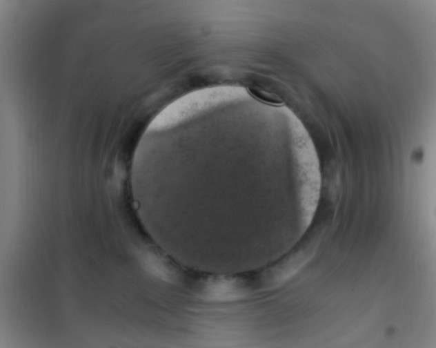 X0000100420235200807032109