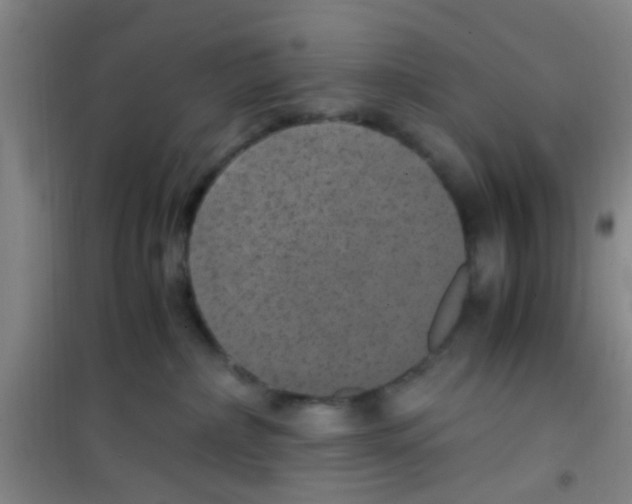 X0000100420236200807032109