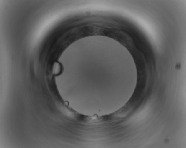 X0000100420239200807032109