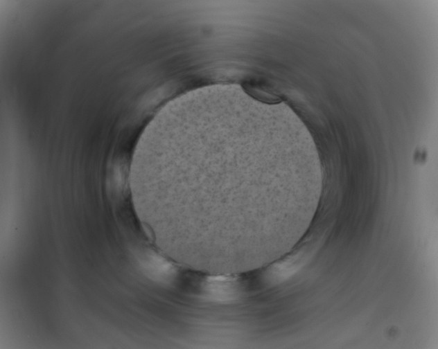 X0000100420240200807032109