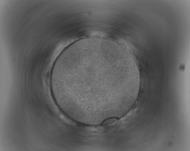 X0000100420241200807032108