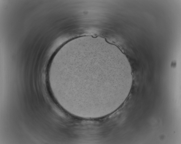 X0000100420242200807032108