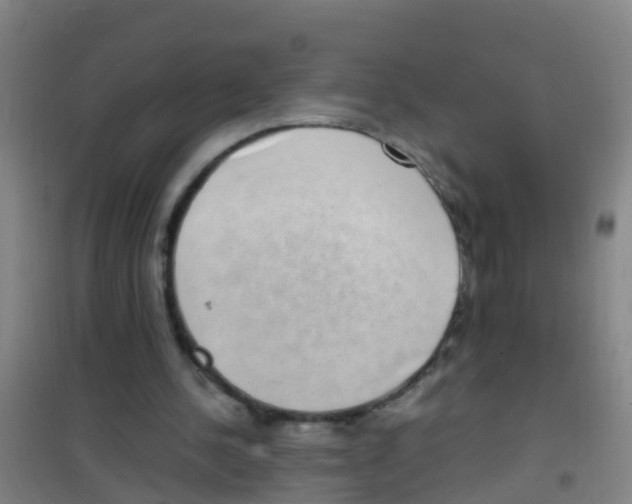 X0000100420244200807032108