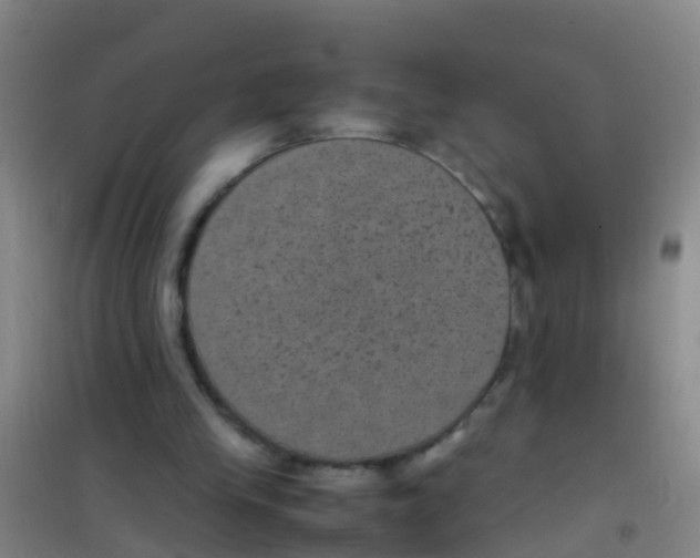 X0000100420245200807032108