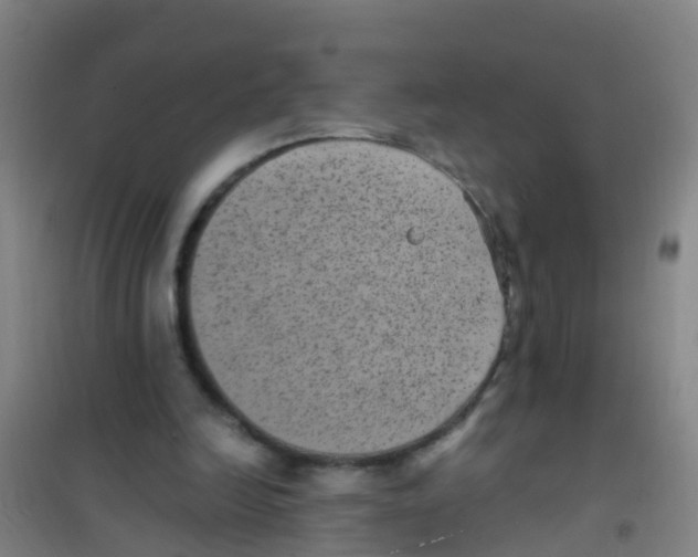 X0000100420246200807032108