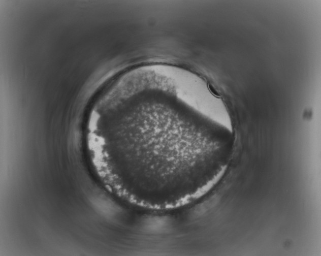 X0000100420247200807032108