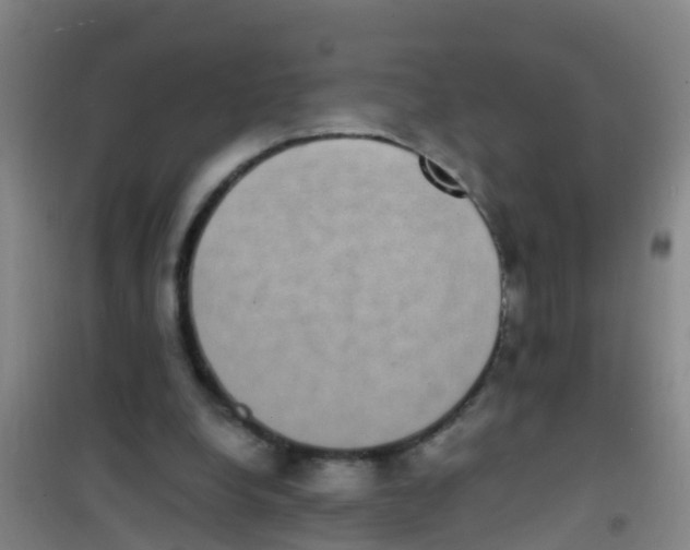 X0000100420248200807032108