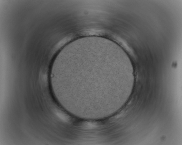 X0000100420250200807032108