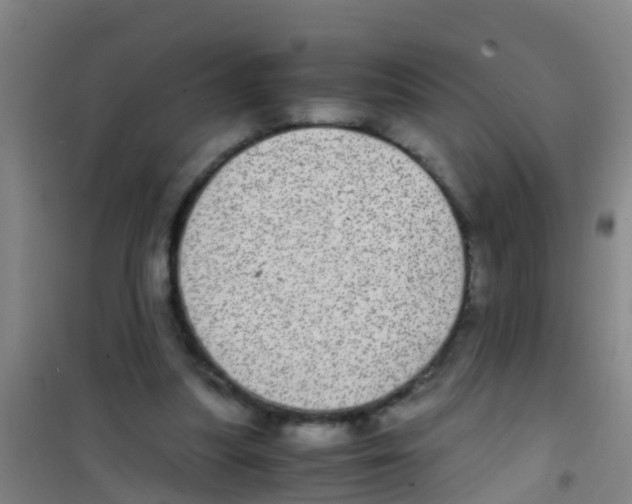 X0000100420251200807032108