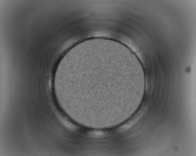 X0000100420253200807032108