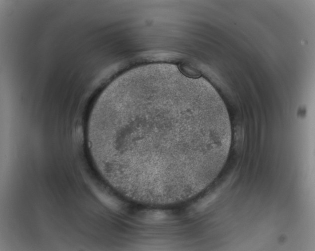 X0000100420254200807032108