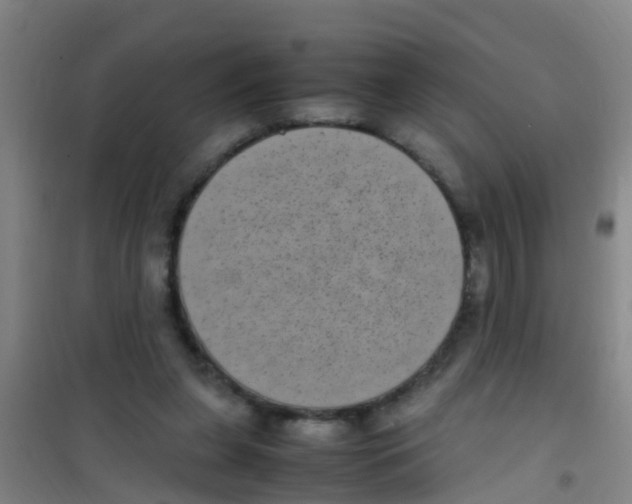 X0000100420255200807032108