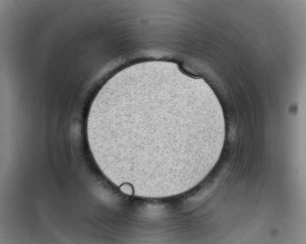 X0000100420256200807032108