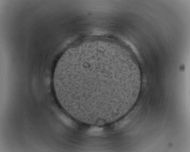 X0000100420257200807032108