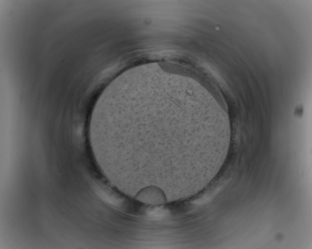 X0000100420258200807032108