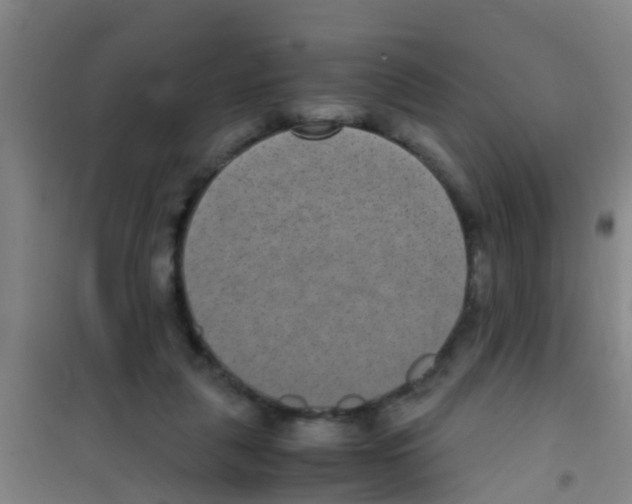 X0000100420259200807032108