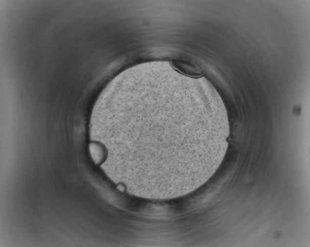 X0000100420260200807032108