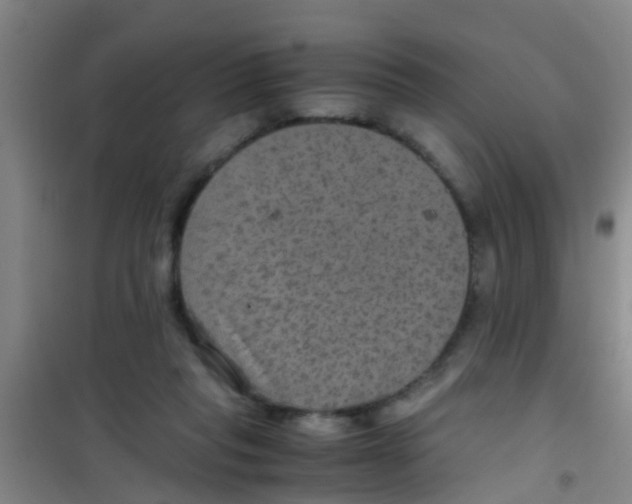 X0000100420261200807032108