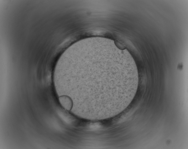 X0000100420262200807032108