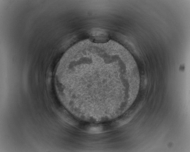 X0000100420263200807032109