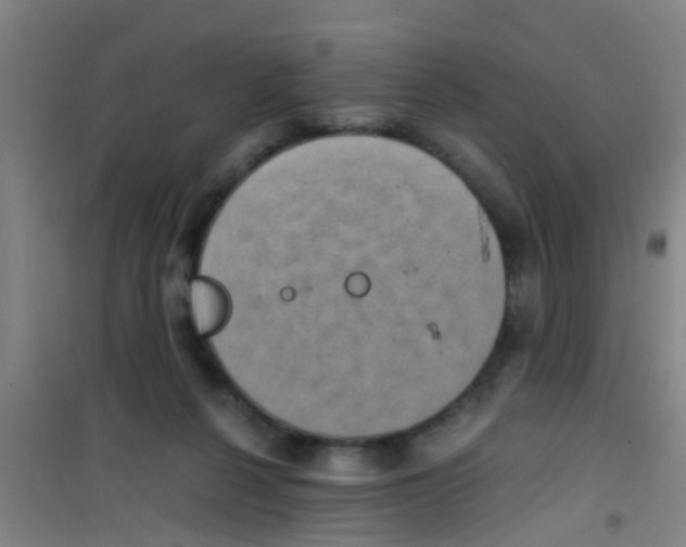 X0000100420264200807032109