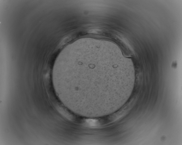 X0000100420265200807032109