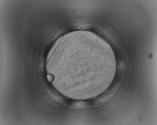 X0000100420268200807032109