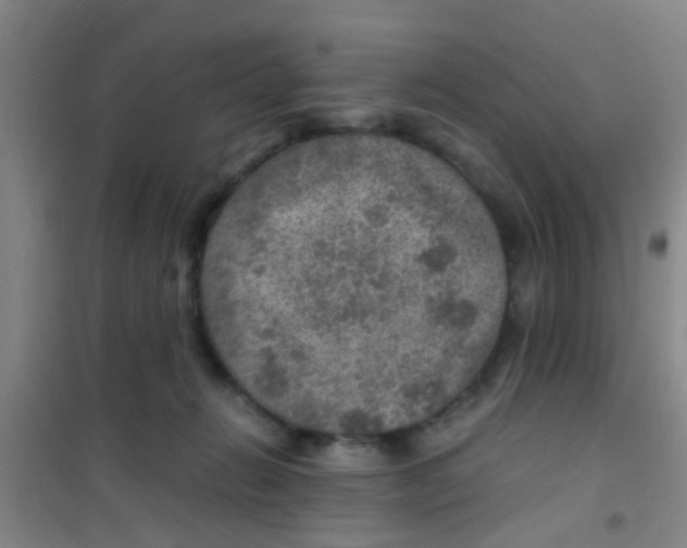 X0000100420270200807032109