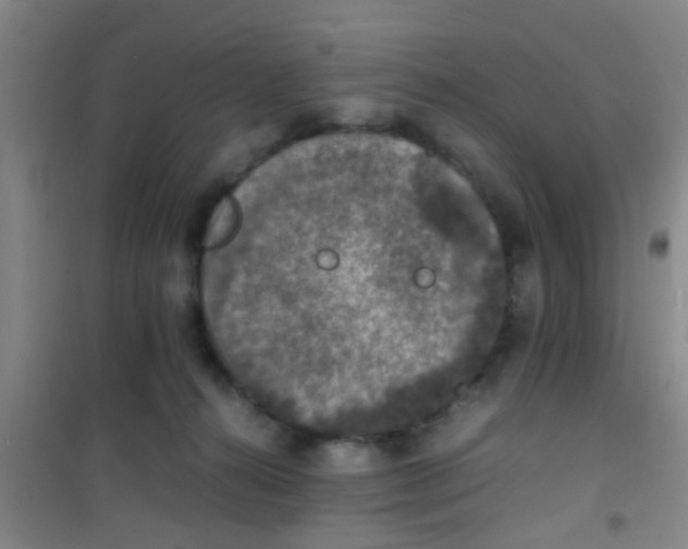 X0000100420272200807032109