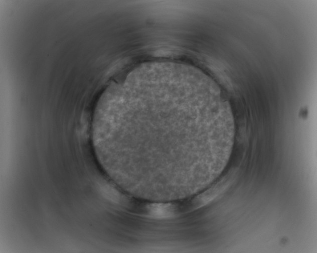 X0000100420273200807032109