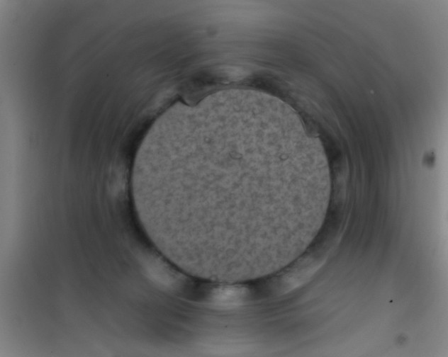 X0000100420274200807032109