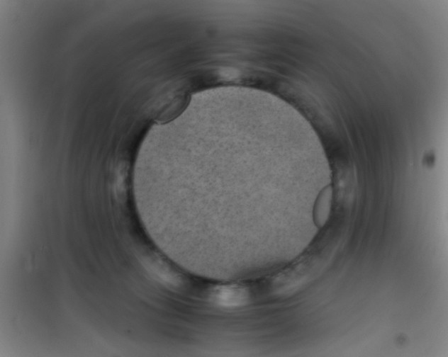 X0000100420275200807032109