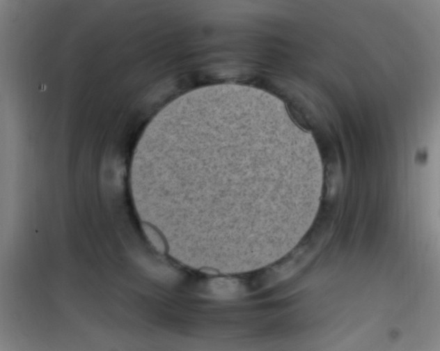 X0000100420279200807032109