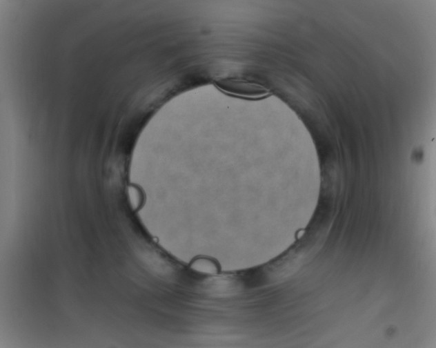 X0000100420280200807032109