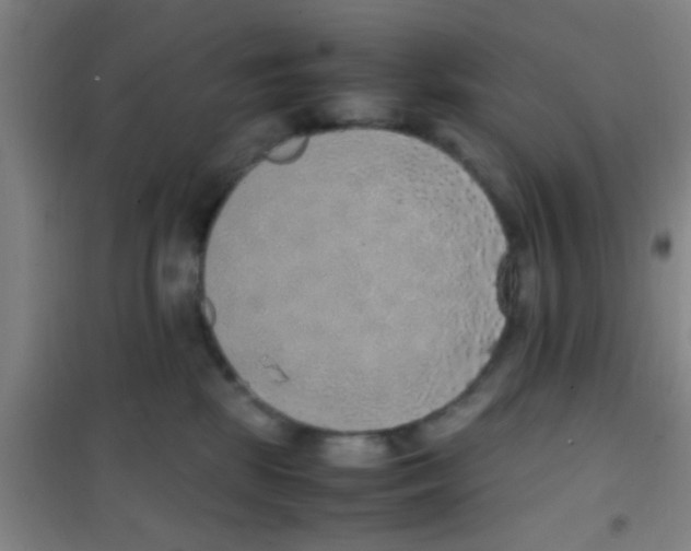 X0000100420281200807032109