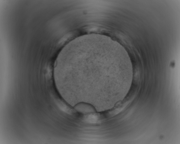 X0000100420282200807032109