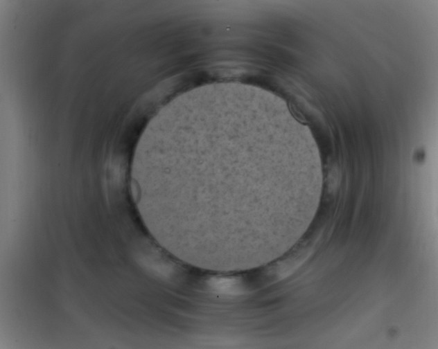 X0000100420283200807032109