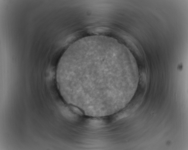 X0000100420284200807032109