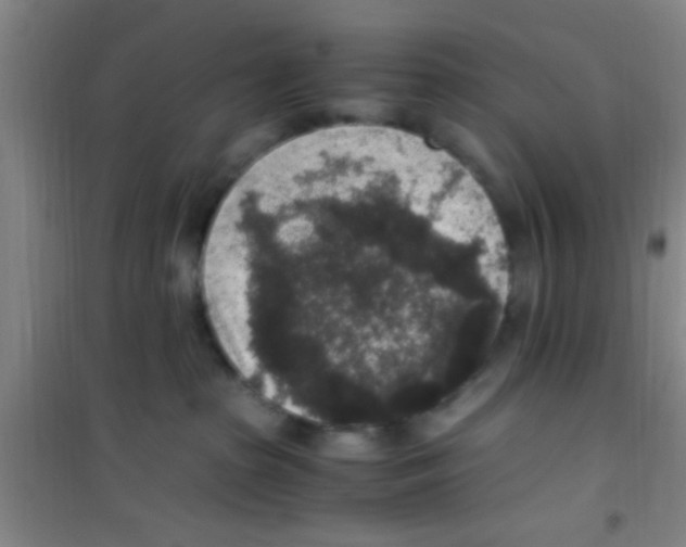 X0000100420285200807032109