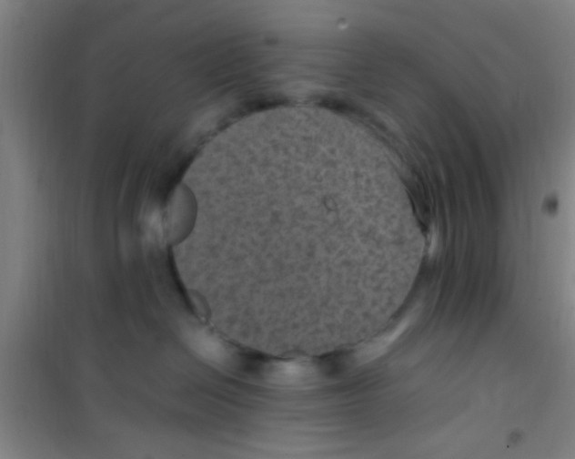 X0000100420286200807032109