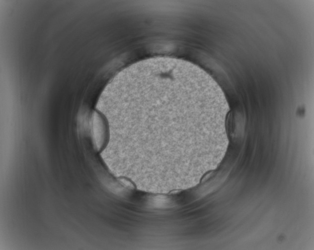 X0000100420287200807032109