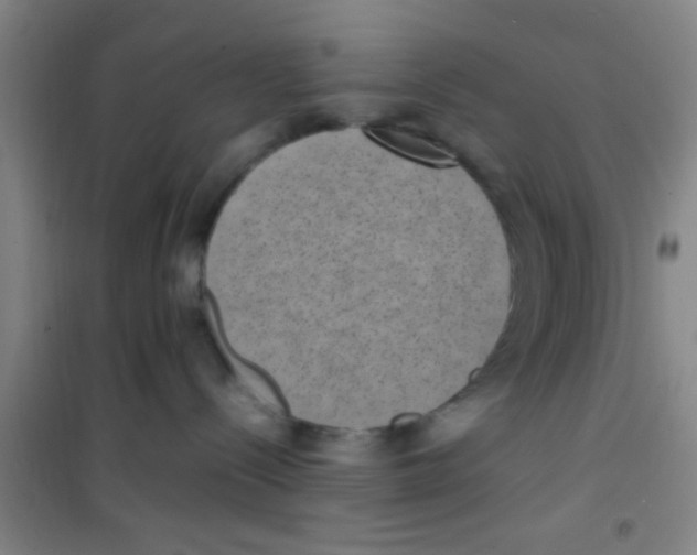 X0000100420288200807032109