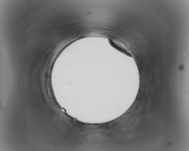 X0000100420289200807032108